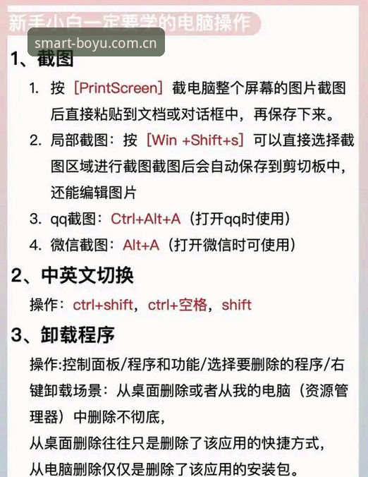 掌握博鱼电脑版互动体验的实用技巧：从入门到精通