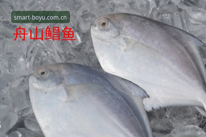 博鱼app注册教程最新版 博鱼电脑版最新动态:博鱼app注册教程最新版全面解析,老用户分享实用经验